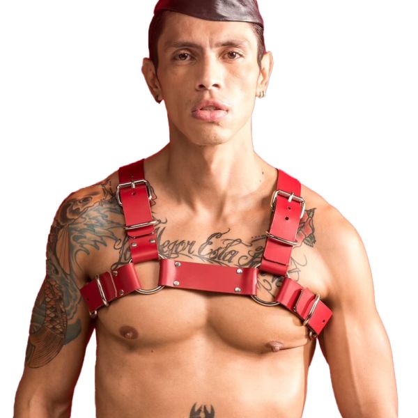 ARNES BULLDOG RED